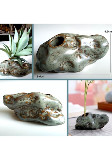 Omeniv Minyatür (Mame) Bonsai Kaktüs Sukulent Amorf Saksı