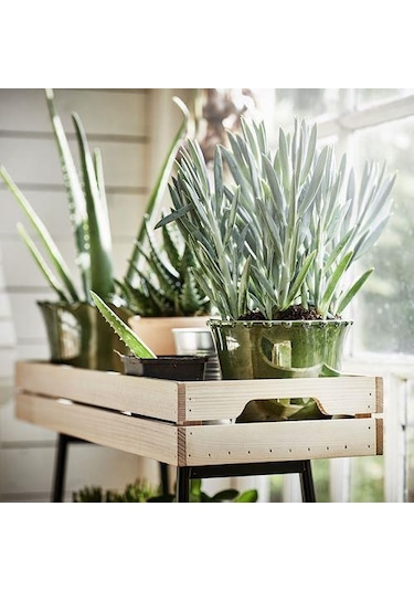 Çam Çiçeklik Natürel-Siyah Renk MeridyenDukkan 67 cm Saksılık Ev Dekorasyonu