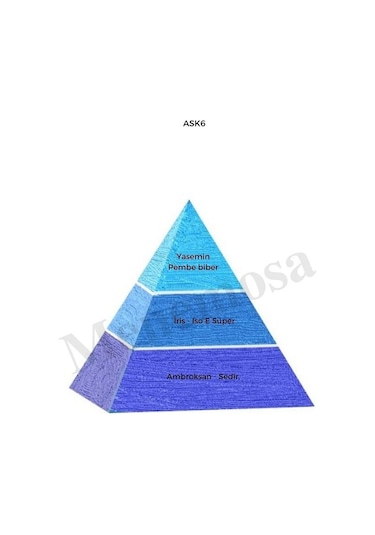 Bargello Ask6 323 Erkek/kadın Parfüm EDP 50 ML Fresh/oriental - Mnms50ask6 Baharat