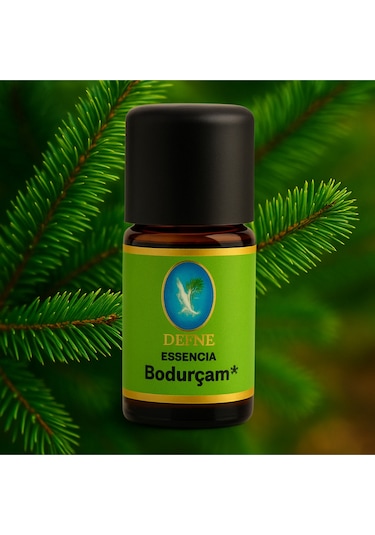 Bodur Çam Organik %100 Saf Uçucu Yağ 5ml