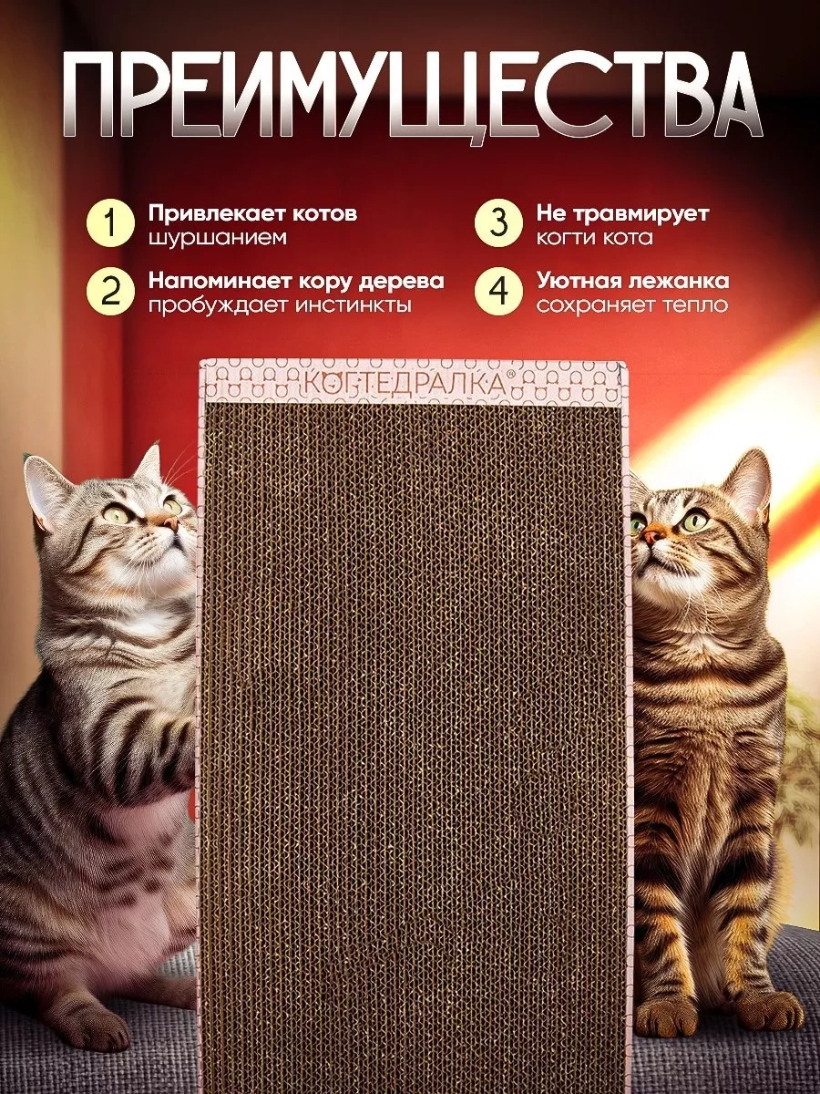 Kogtedralka Kedi Tırmalama Taşı Kartondan, 24/50/3 Cm 28694453