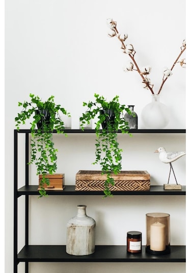 Yapay Çiçek Saksıda Sarkan Şimşir Okaliptus Yapay Sarmaşık 56cm Siyah Saksıda