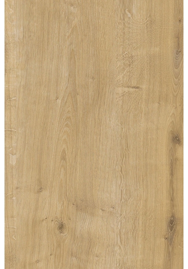 Mantar Orta Sehpa Yuvarlak Orta Sehpa 58 Cm - Safir Meşe
