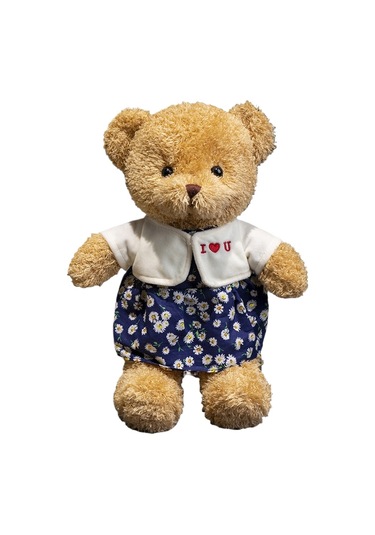 Turki Teddy Ayı Plush Toy Renkli Pillow 40cm Deniz Yosunu Çift Ayı Kadın