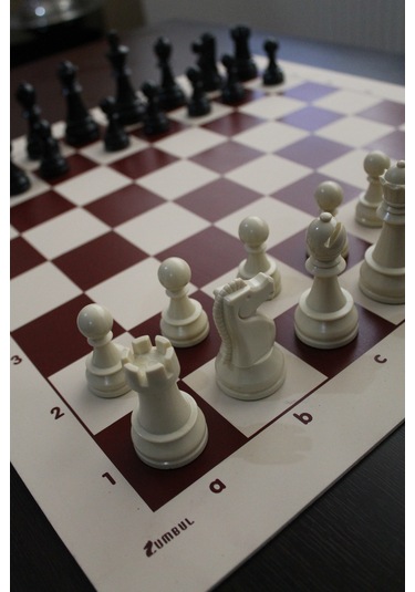 Zumbul 95 Gold Satranç Takımı