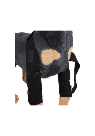 Homyl Köpek Diz Eklemi Desteği Ön Bacak Sıkıştırma Brace Koruyucu