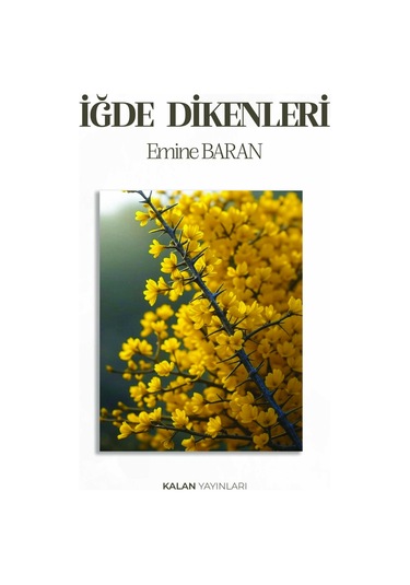 İğde Dikenleri Kitabı
