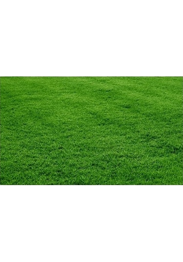 GRass Seed 6'Lı Mix Karışım Çim Tohumu 10 KG