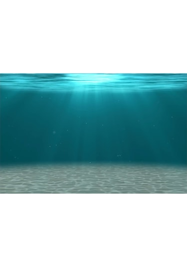 Kanki Pet KP7045006 Akvaryum Arka Fon Yapıştırma 70 CM