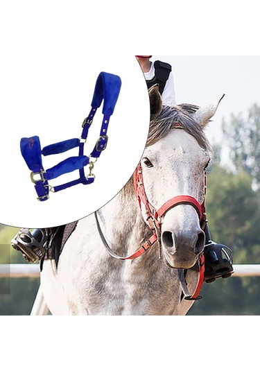 Homyl Otlak Çiftliği Için At Yuları Yastıklı L-mavi L Mavi