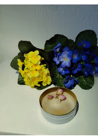 Türk Kahveli Tarçınlı Böcek Savar Kutu Mum