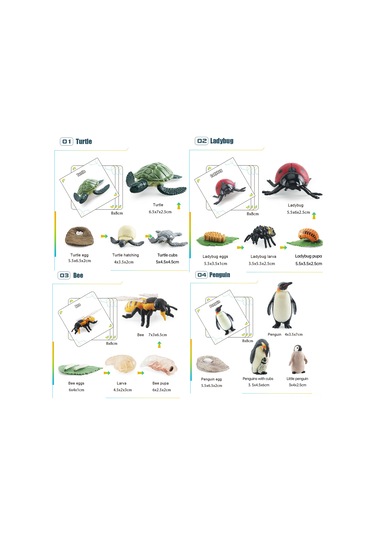 Yifomall 25 Adet Hayvan Büyüme Döngüsü Modeli + 25 Kart - Çocuklar İçin Doğa Bilgisi Eğitici Öğretim Aracı Kelebek, Kurbağa, Arı, Böcek, Deniz Kaplumbağası, Yavru Penguen