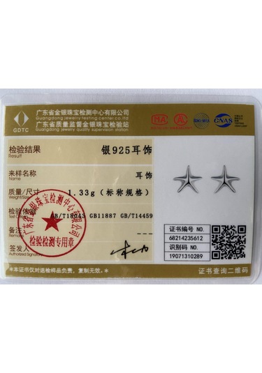 925 Ayar Gümüş Denizyıldızı Küpe Hediye Moda Takı