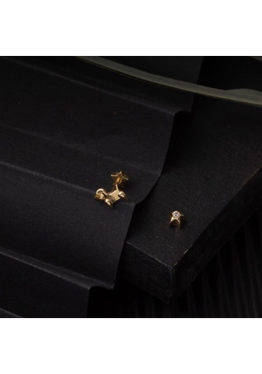 Bilezikci  14 Ayar Altın Tragus Piercing Küpe Kphsy14k22506