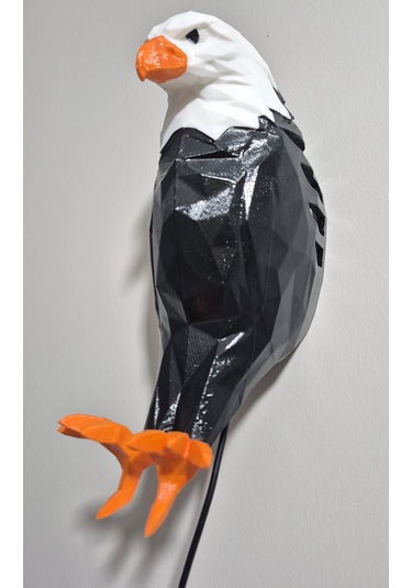 Work3d Adaptörlü Renkli Kartal Aplik Beyaz