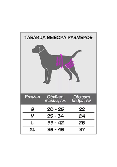 Best Golden Monkey Köpekler İçin Kızgınlık Dönemi Külotları 95648795