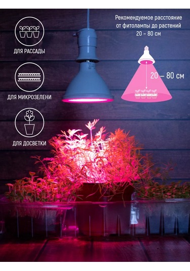 Garden Show Bitkiler İçin Fitolamba Led, E27 Duy, 15w 219112716 Beyaz