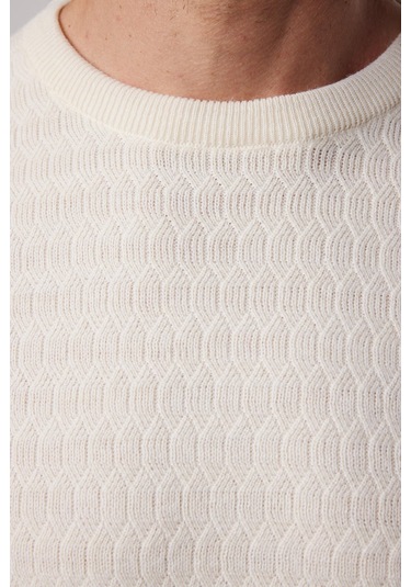 Erkek Slim Fit Bisiklet Yaka Kendinden Desenli Ekru Triko Kazak-28817 Ekru