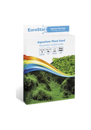 Eurostar Bitki Toh Hemianthus Callitrichoides One Size