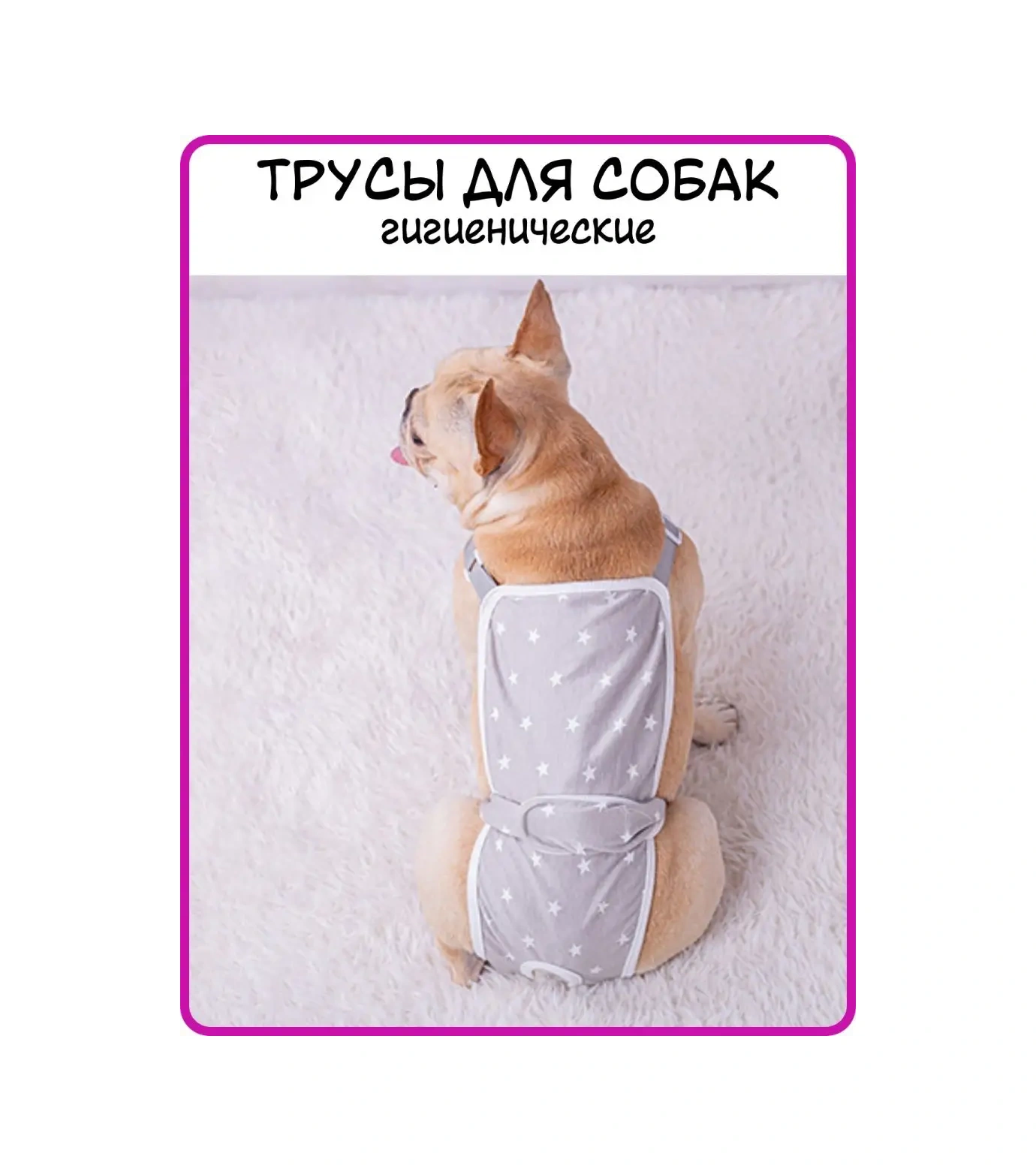 Best Golden Monkey Köpekler İçin Külot 95581722