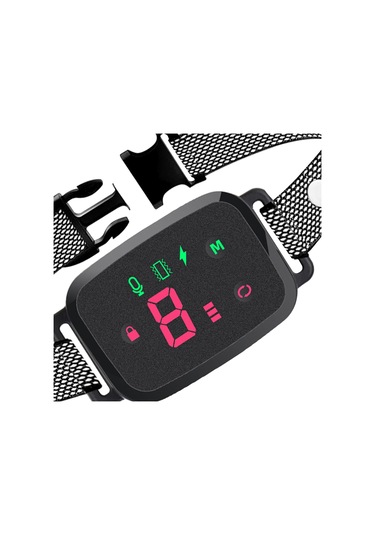 Suntek İç Mekan Oturma Odasında Çalıştırmak Için Köpek