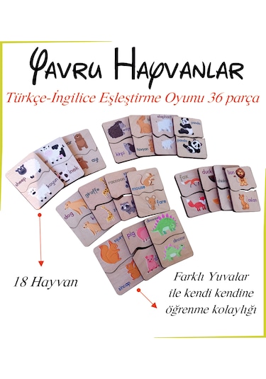 Anne Ve Yavru Hayvanlar Eşleştirme Türkçe-ingilizce