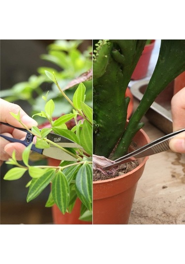 Besthome1 Bahçe Saksı Bitkileri İçin 10 Pratik Parça Bakım Seti: Budama, Sulama, Temizlik, Toprak İşleme