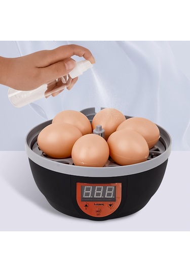 Suntek Kaz Bıldırcın Tavuk Için Yumurta Kuluçka Ev