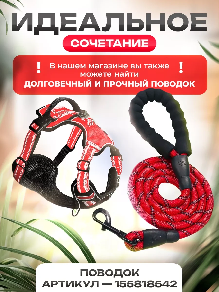 Petfort Orta Ve Büyük Irk Köpekler İçin Anatomik Koşu Kayışı 175588727 Kırmızı