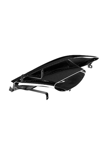 Project Gamma Bmw F8x M3-m4 Carbon Fiber Headlight Delete
