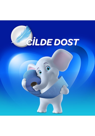 Selpak® Extra Renkli Tuvalet Kağıdı 2 x 8'li