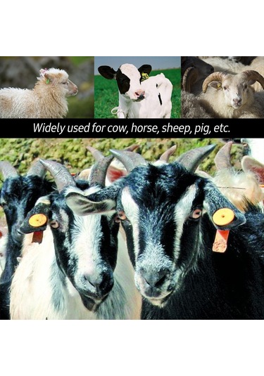 Konesam Hayvan Kulak Küpesi Makası - Yeşil Renkli, Sığır, Koyun Ve Domuzlar İçin Yeşil