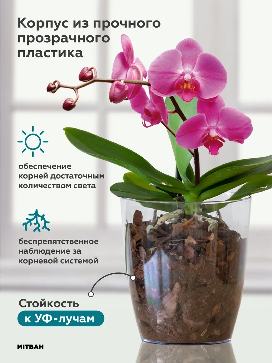 Mıtbah Şeffaf Saksı Orkide Saksısı 162371590