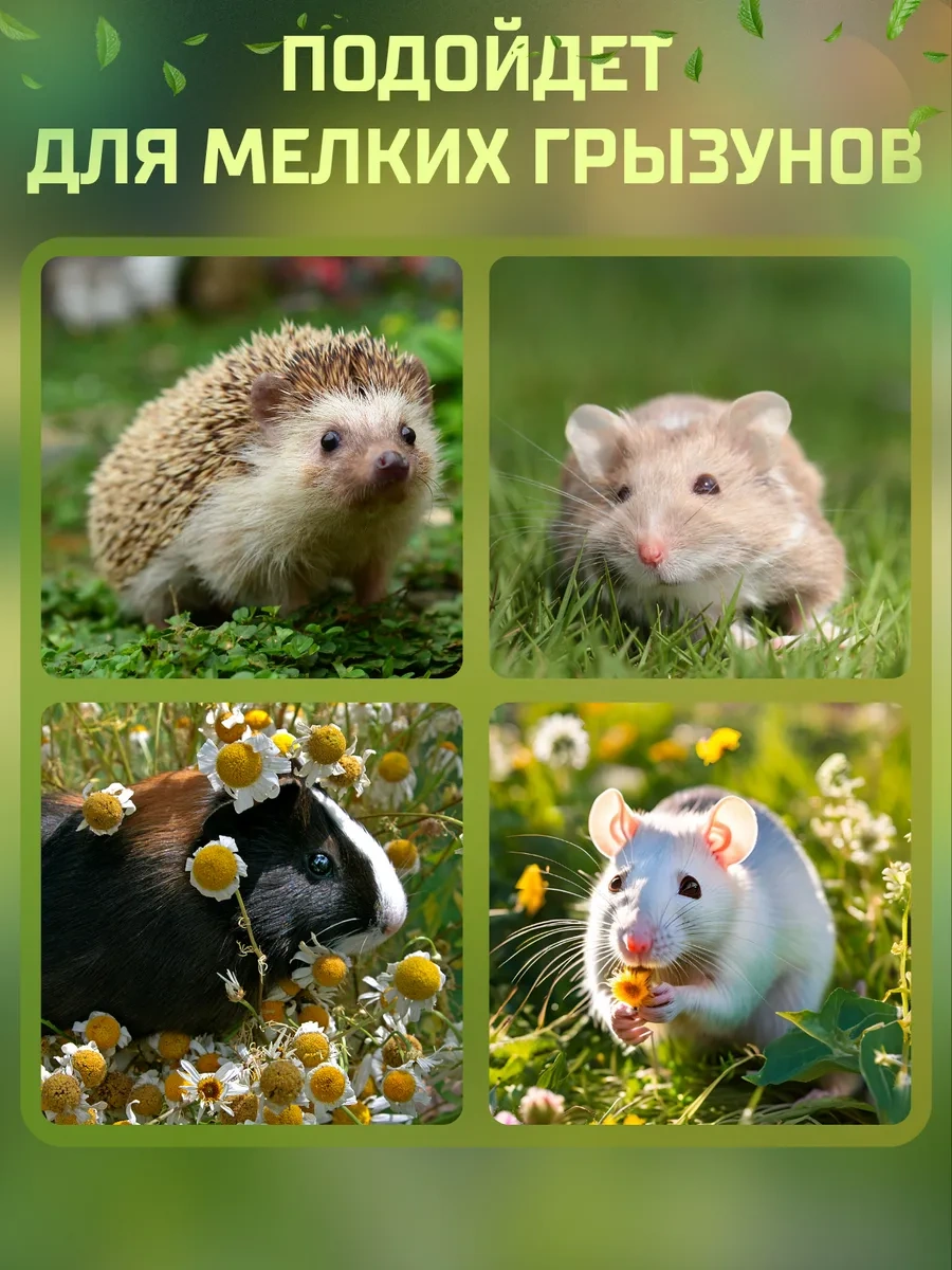 Zverusa Kemirgenler, Fareler Ve Gine Domuzu İçin Taşıma Çantası 173234315