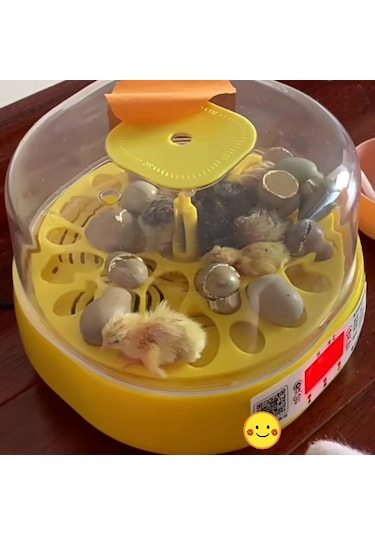 Mini Otomatik Ev Tipi Kuluçka: Papağan Bıldırcın Kuluçka Makinesi 18li Yumurtalı Mx-18