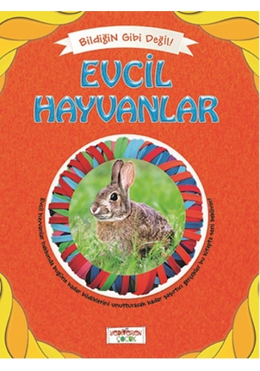 Bildiğin Gibi Değil - Evcil Hayvanlar - Asena Meriç - Yediveren Çocuk