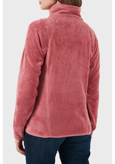 Norway Geographical Bayan Polar Upalıneb Pembe Pembe