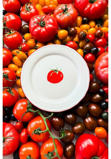 Rakle x Bengi Kurtcebe Pomodoro Stoneware 4'lü Pasta Tabağı Seti 21 cm