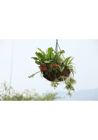 Gardener Ko-Ko Zincir Askılı Sepet Çap 30 CM