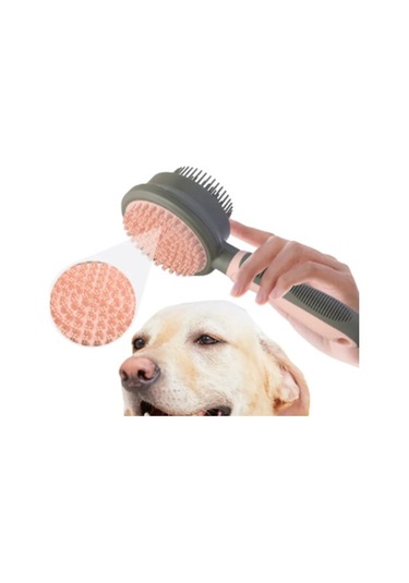 Raikou Kedi Tüy Toplama Tarağı Pembe