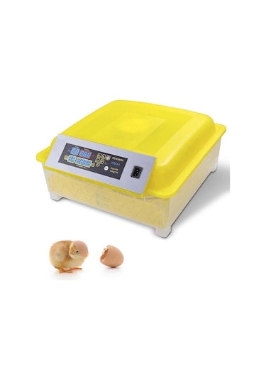 Kmaı 56'lı Tam Otomatik Kuluçka Makinesi