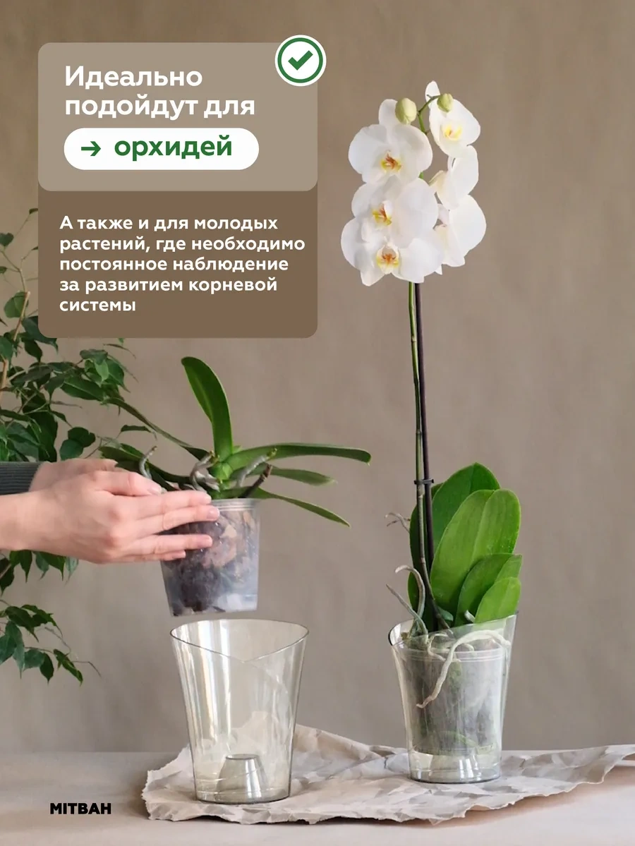 Mıtbah Şeffaf Saksı 2 Adet Orchids 74247176