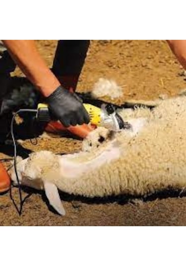 Rtrmax Rtm923 Koyun Kırkma Makinesi 500 Watt