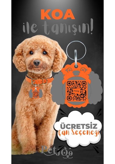 Petjoo 14.Koa Gri-Turuncu Qr'lı Köpek Künyesi