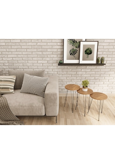 Zigon Sehpa 3'lü Yuvarlak Siyah Tel Ayaklı Ceviz