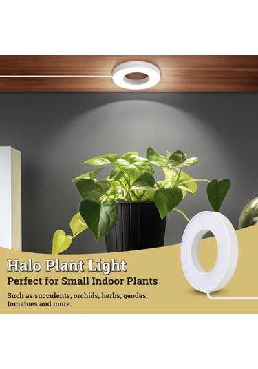 Willowhaven Hotu 4 Head Led Dekoratif Işık Usb Bağlantılı Zamanlayıcı Kırmızı Mavi Beyaz Işık Ayarı Füme