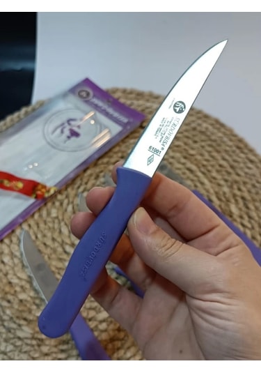 Sürdövbisa 61010 6'lı Meyve Seti Sivri Uç Mor