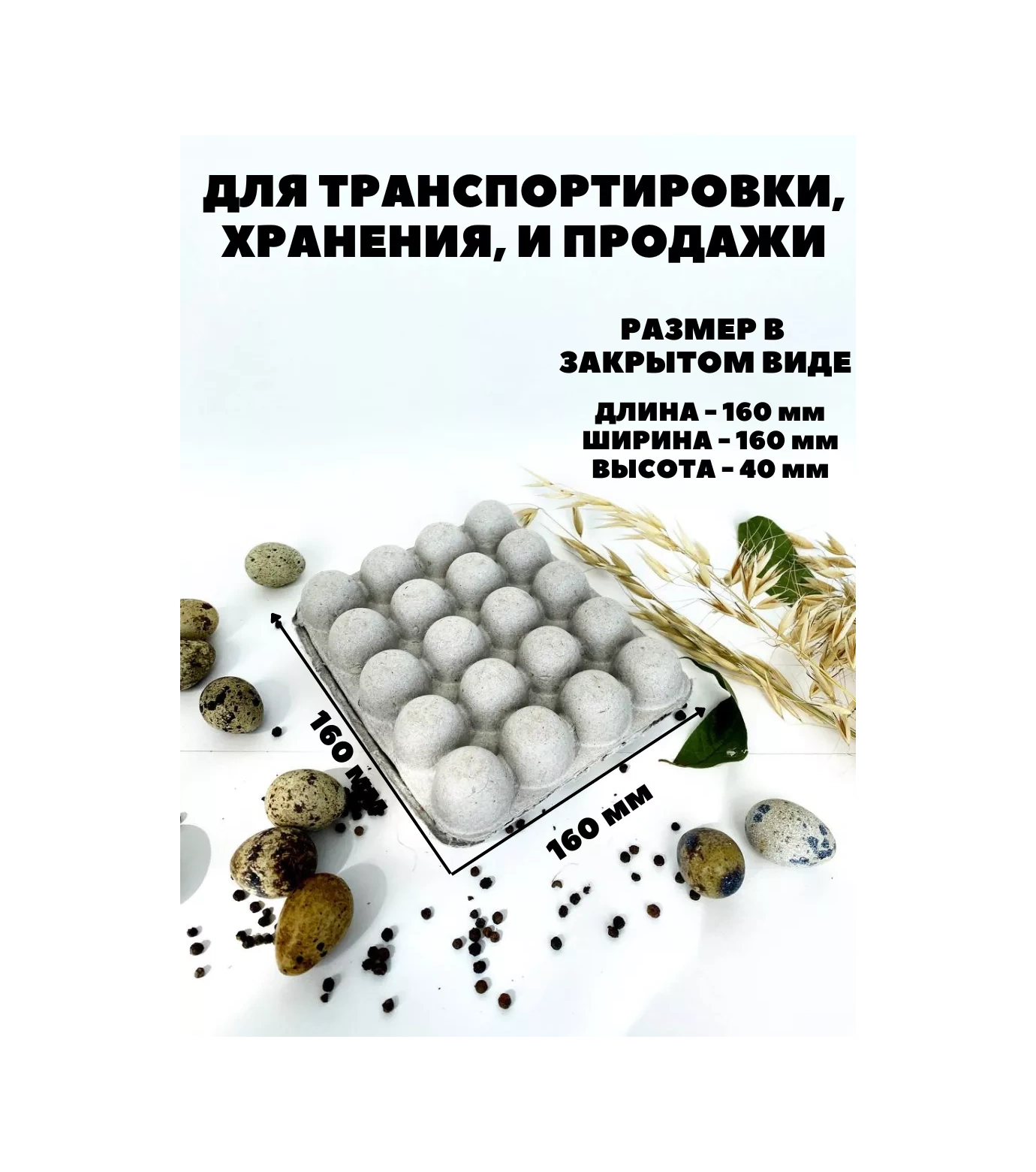 Tpt 20 Gözlü Bıldırcın Yumurtası Paketi 173910803 Bej