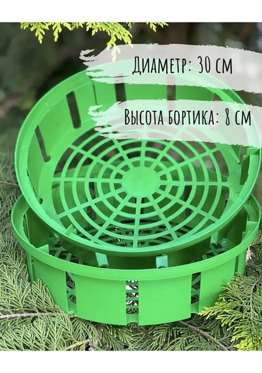 Botanikum Soğanlı Bitkiler İçin Sepet, Kelebek Yetiştirme 324986762