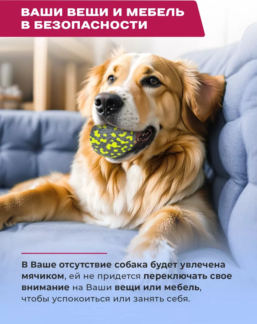 Purrfect Place Köpekler İçin Oyuncak, Süper Dayanımlı Top 212263646